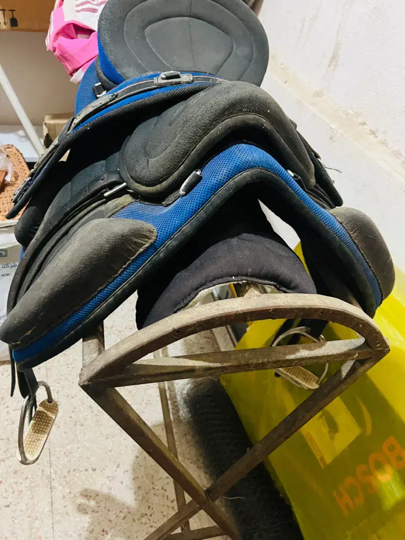 زین اسب|اسب و تجهیزات اسب‌سواری|کوهسار (البرز), |دیوار