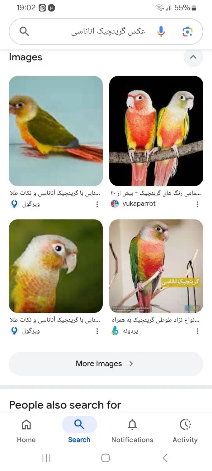 گرینچیک|پرنده|قنوات, |دیوار