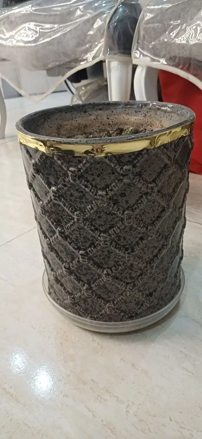 گلدان های سفالی|گل و گیاه طبیعی|قدس, شهر‌قدس|دیوار