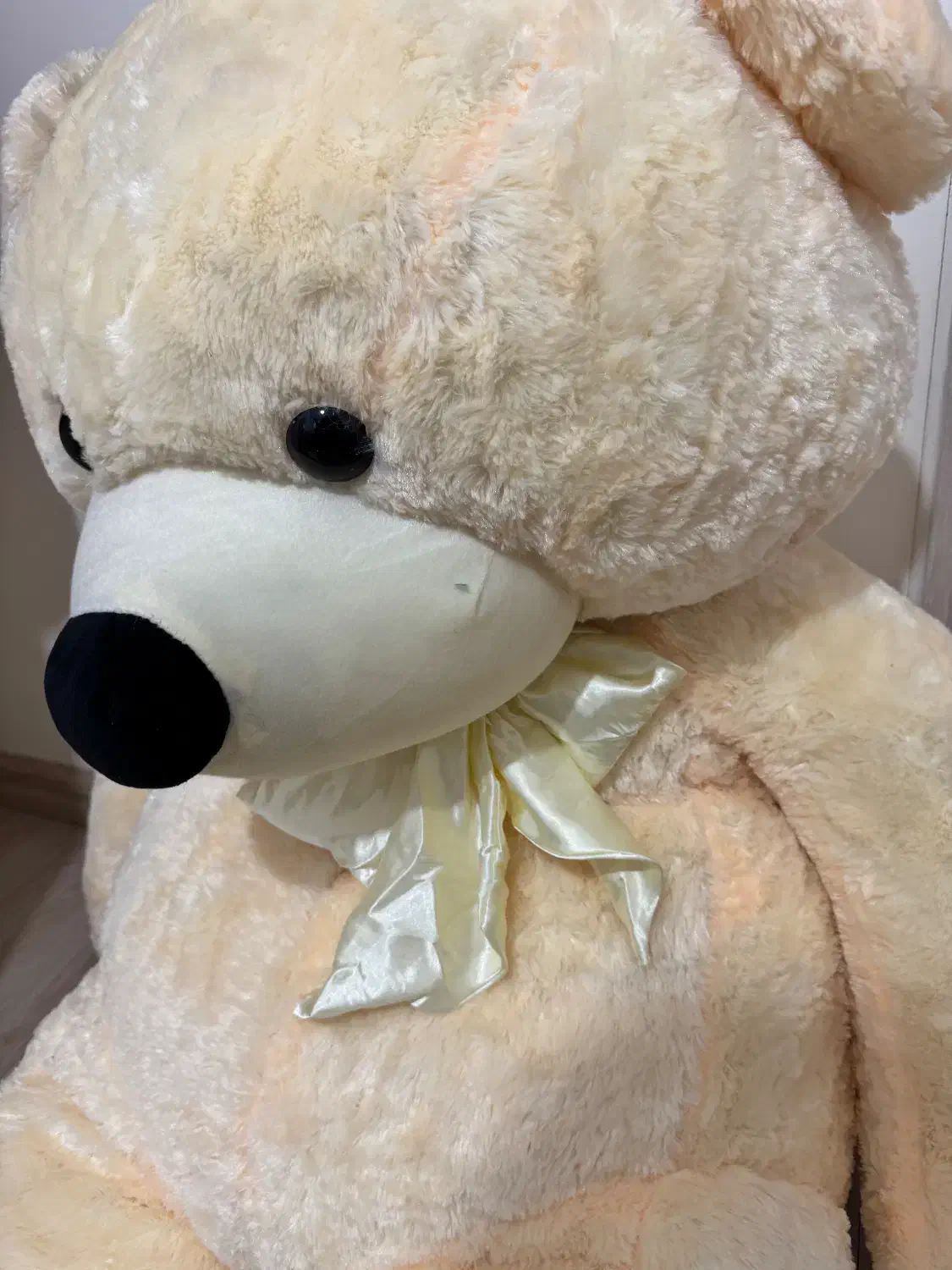 عروسک|اسباب‌‌بازی|تبریز, |دیوار