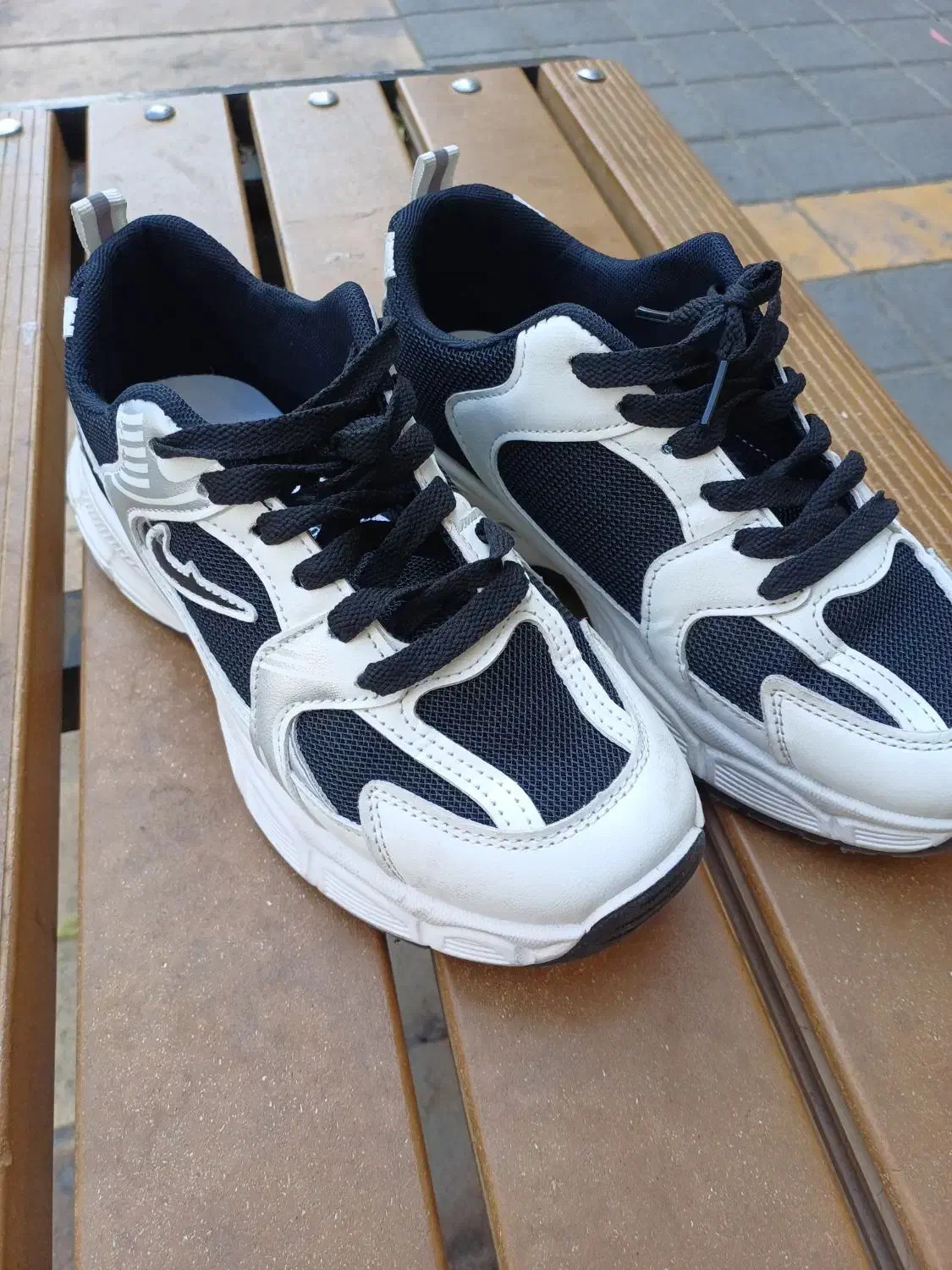 کفش اسپرت|کیف، کفش، کمربند|زابل, |دیوار