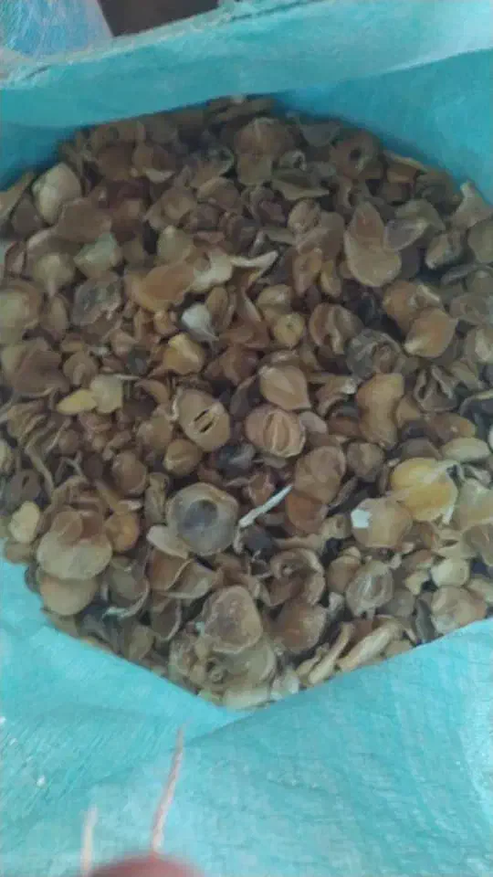 موسیر|عمده‌فروشی|نهاوند, |دیوار
