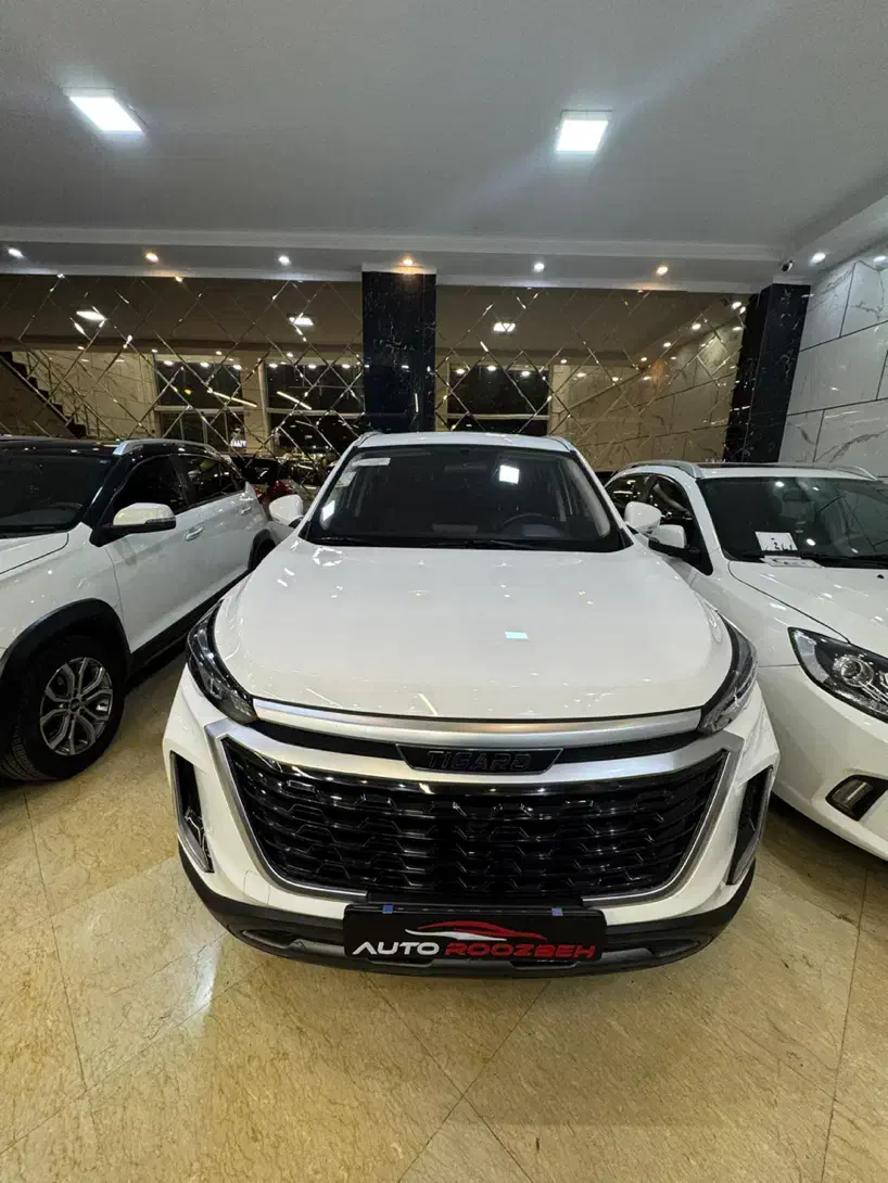 تیگارد مدل ۱۴۰۲ بدون رنگ بدون نقطه|خودرو سواری و وانت|تهران, نارمک|دیوار