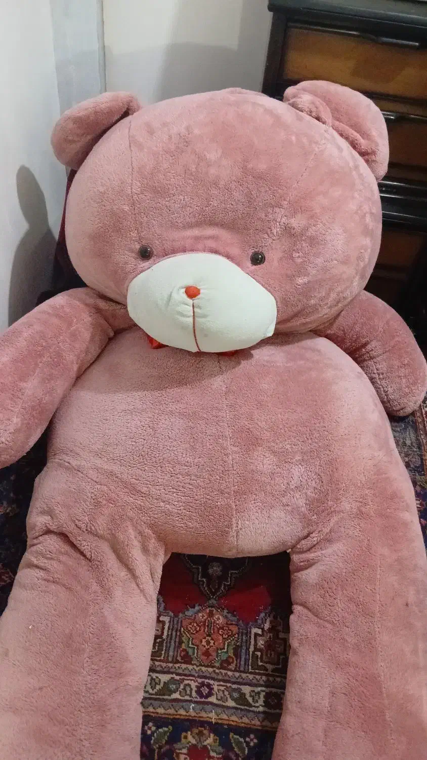 خرس بزرگ|اسباب‌‌بازی|تبریز, |دیوار