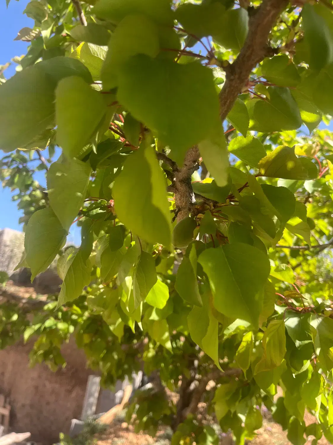 تصویر 9