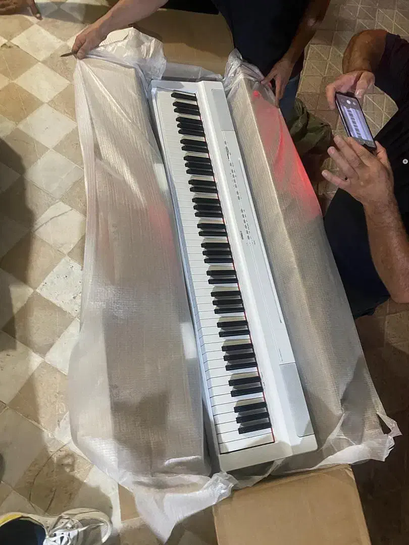 پیانو پرتابل p225 white|پیانو، کیبورد، آکاردئون|قزوین, |دیوار