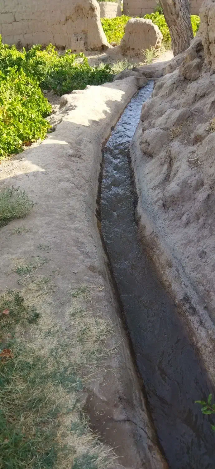 باغ انگور همراه آب چاه موتور|فروش دفتر صنعتی، کشاورزی، تجاری|کاشمر, |دیوار