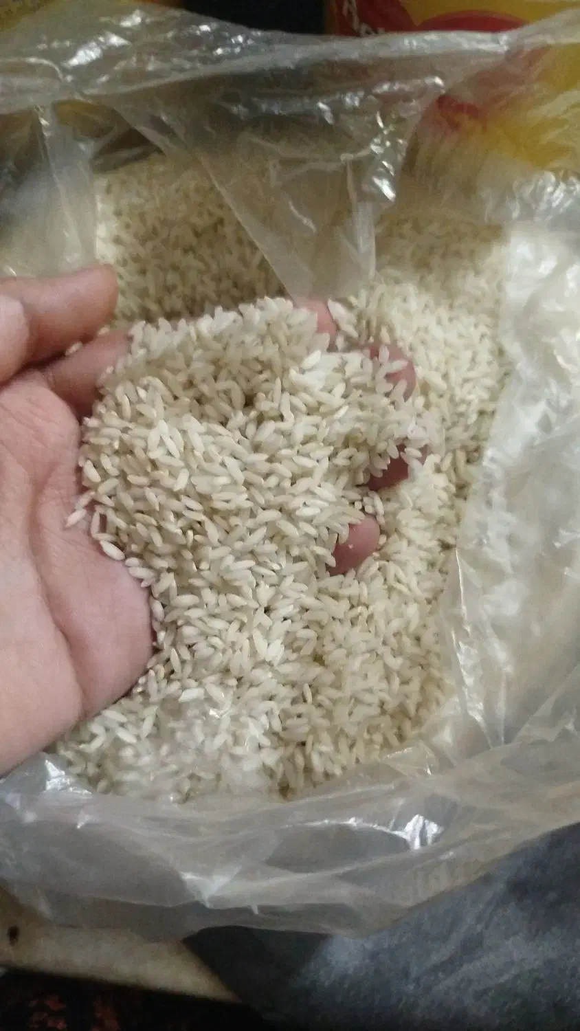 برنج عنبر بو محلی خوش طعم|خوردنی و آشامیدنی|یزد, |دیوار