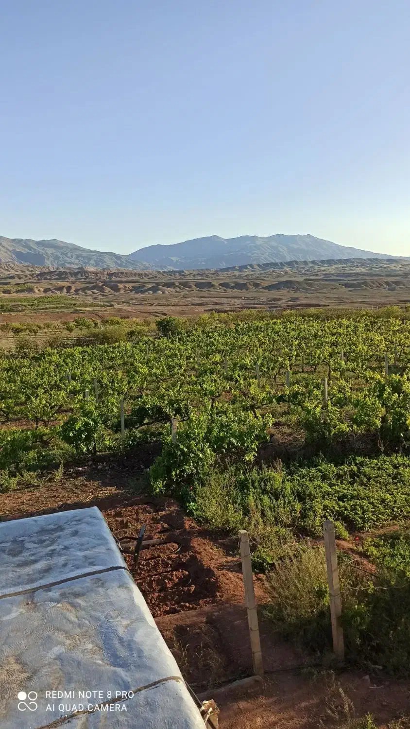 باغ جلفادشت گردیان|فروش خانه و ویلا|جلفا, |دیوار