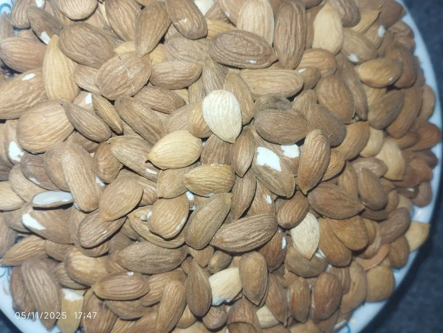 مغز بادام کوهی کیلو ۶۰۰ با برنج هم عوض میکنم|خوردنی و آشامیدنی|یاسوج, |دیوار