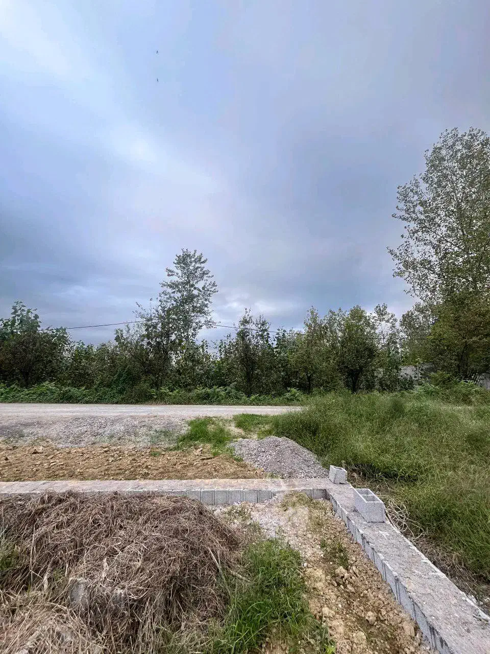 250متر زمین باغات داخل طرح هادی، بر آسفالت|فروش زمین و ملک کلنگی|صومعه‌سرا, |دیوار