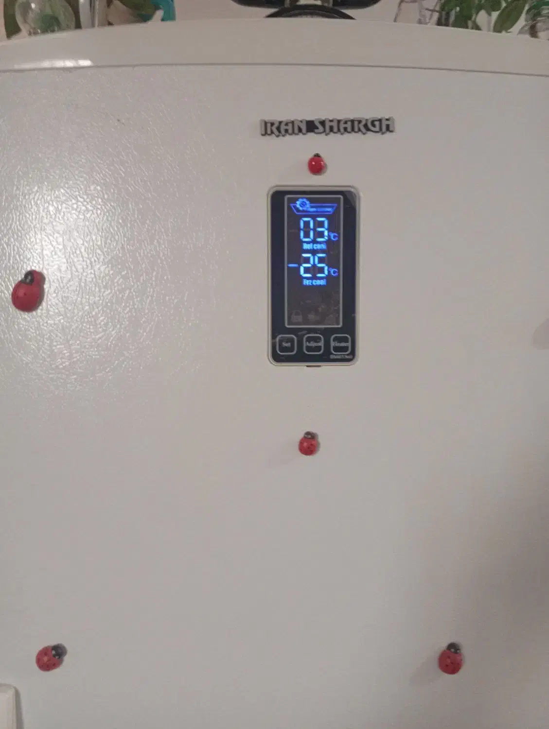 یخچال|یخچال و فریزر|جلگه رخ, |دیوار