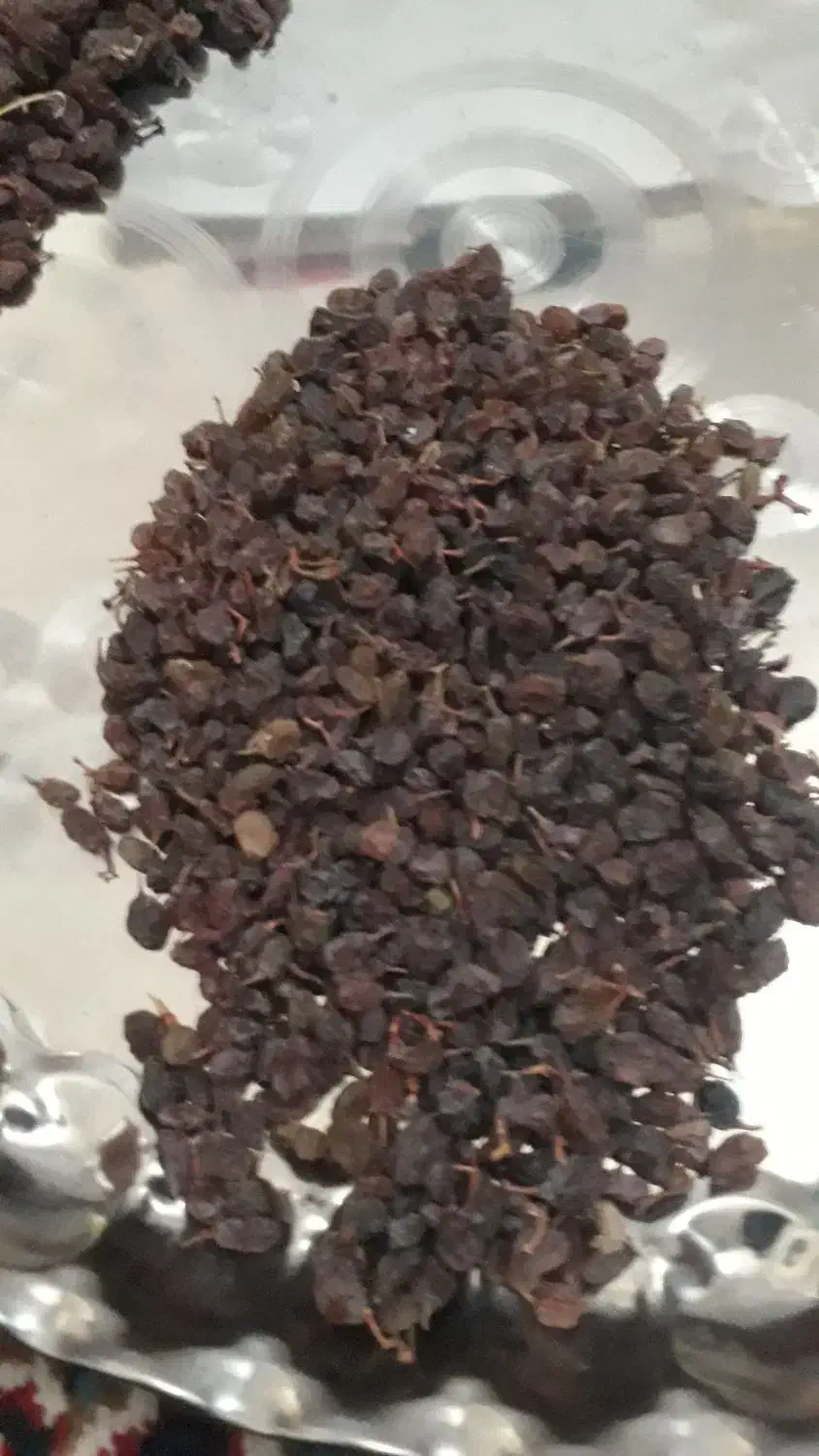 مویز کشمش|خوردنی و آشامیدنی|سردرود, |دیوار