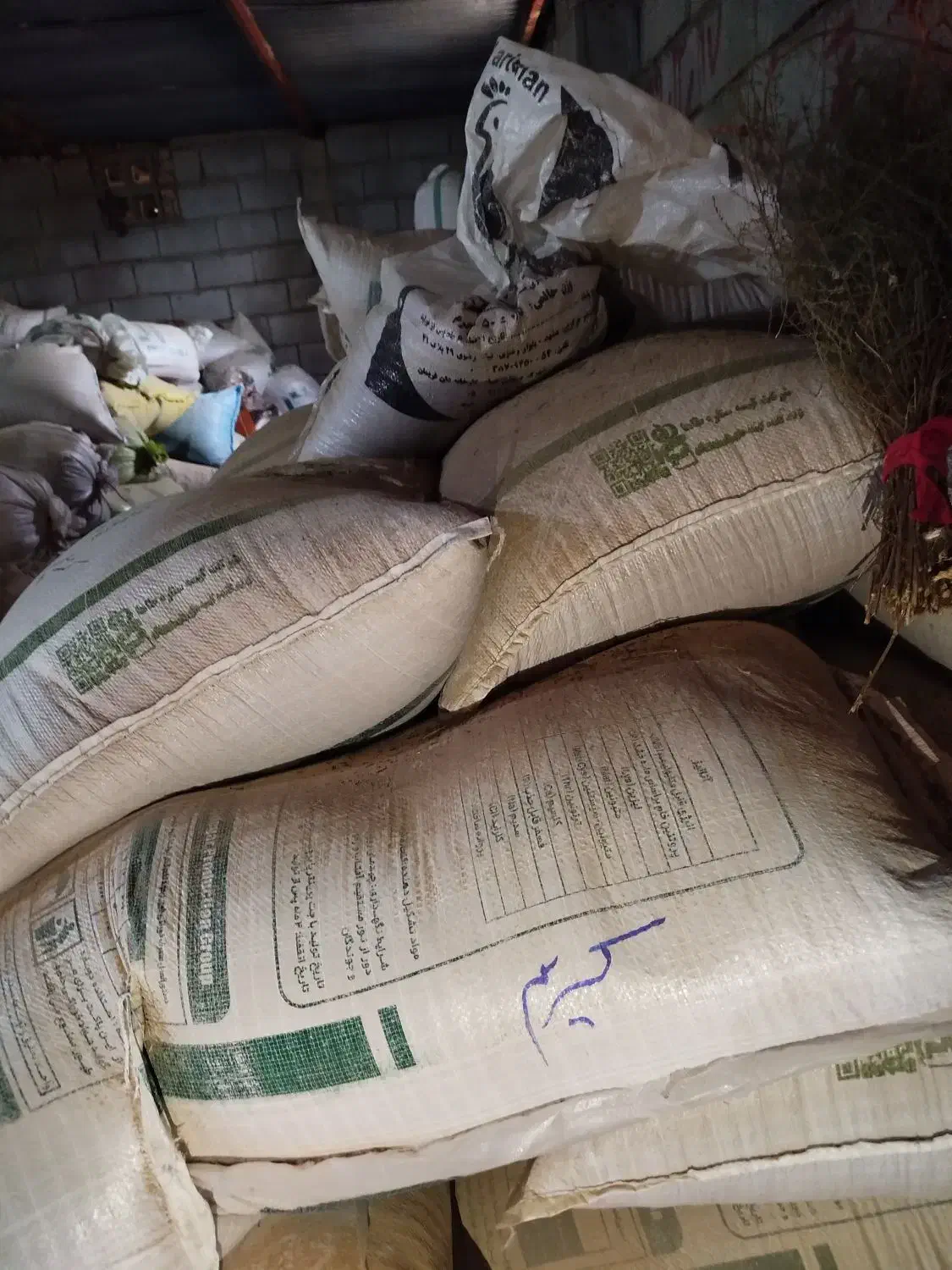 انواع بذر گندم موجوده|خدمات باغبانی و درختکاری|چاپشلو, |دیوار