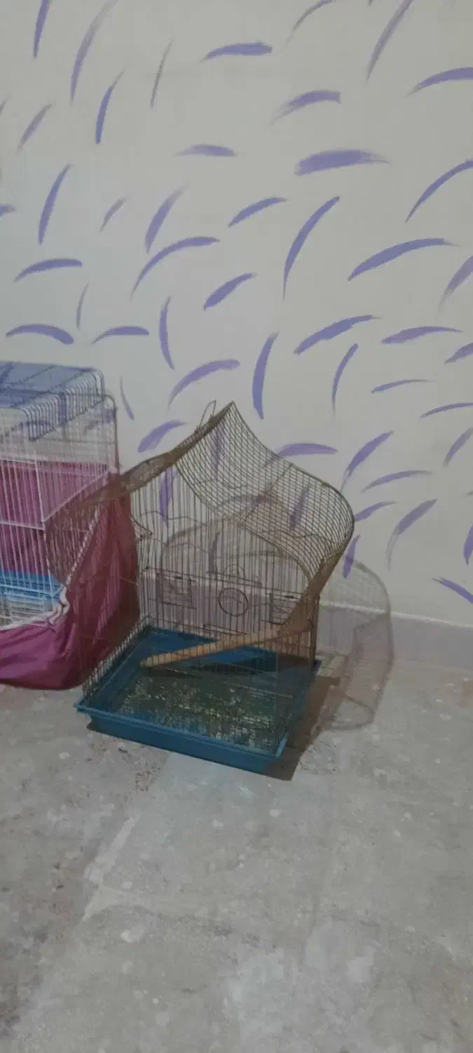 دو عدد قفس پرنده نیروی دریایی نارمک|لوازم جانبی حیوانات|تهران, نیروی دریایی|دیوار