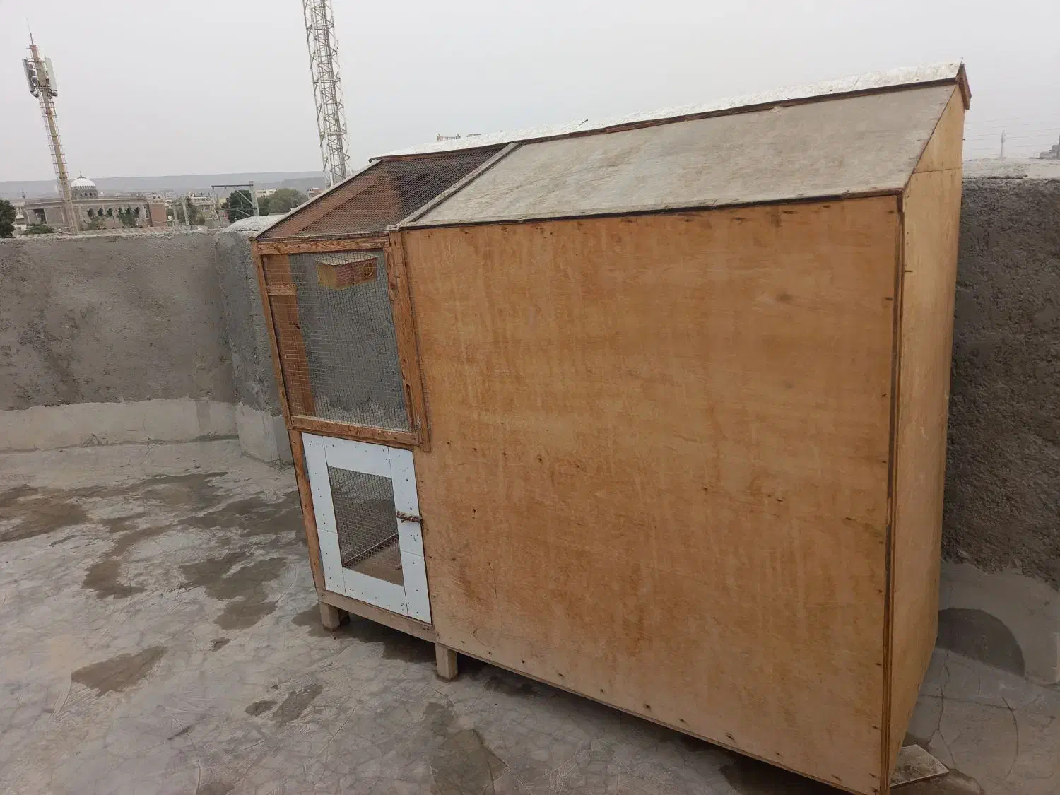 چوبی|لوازم جانبی حیوانات|چابهار, |دیوار