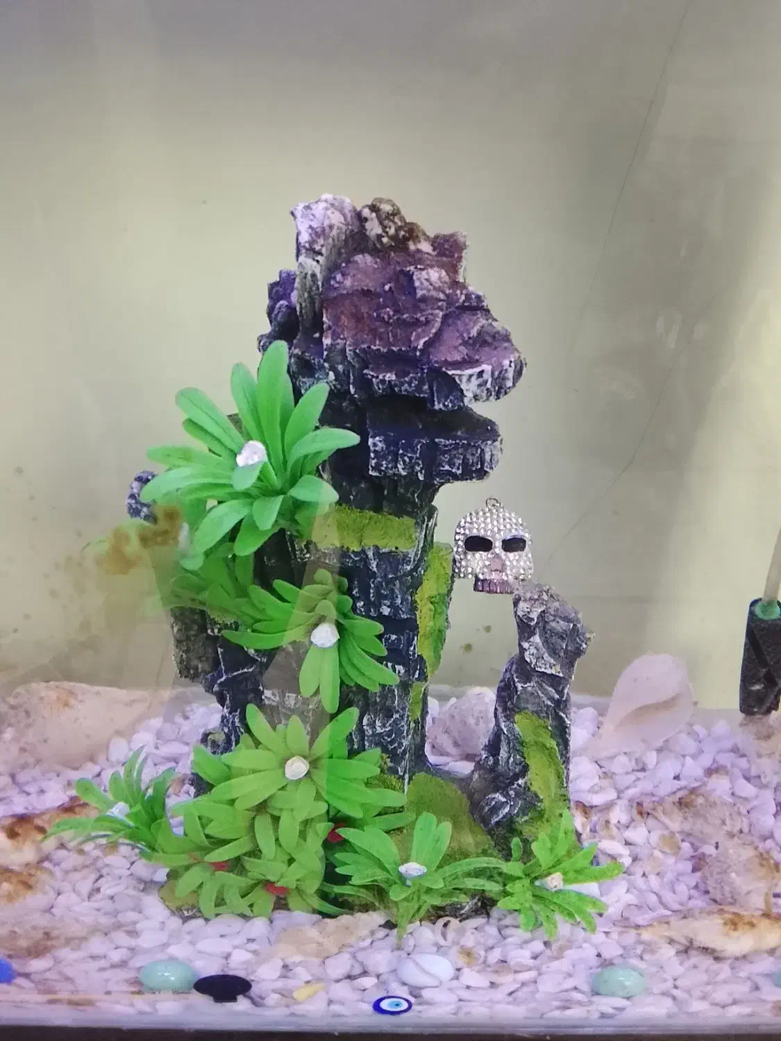 اکواریوم|ماهی|کهریزک, |دیوار