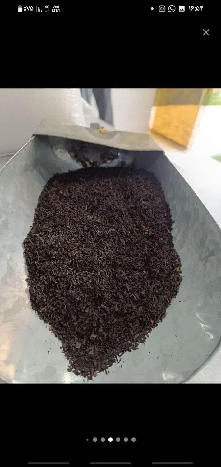 چای بهاره|خوردنی و آشامیدنی|چالوس, |دیوار