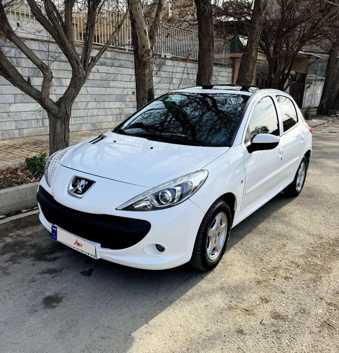 ۲۰۷پانا مدل ۱۴۰۲نو|خودرو سواری و وانت|رامجین, |دیوار