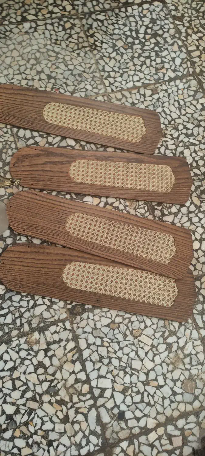 پنکه،سقفی|لوستر و چراغ آویز|رشت, کوی امام رضا|دیوار