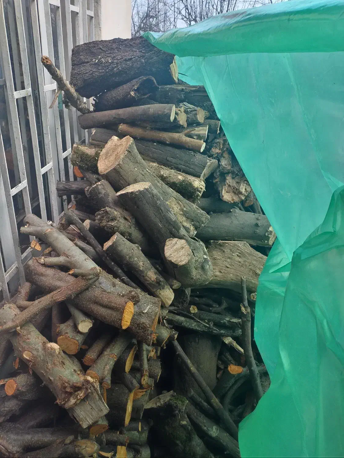 هیزم مرغوب|خدمات باغبانی و درختکاری|چالوس, |دیوار