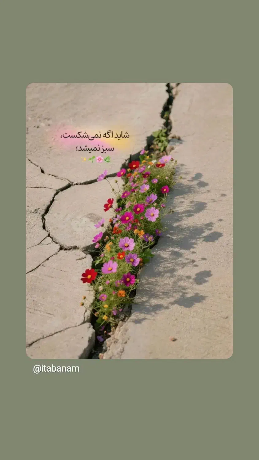 همفکری جهت ایجاد شغل|فعالیت داوطلبانه تحقیقاتی|تهران, پرستار|دیوار