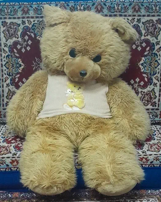 عروسک خرسی|اسباب‌‌بازی|اردبیل, |دیوار