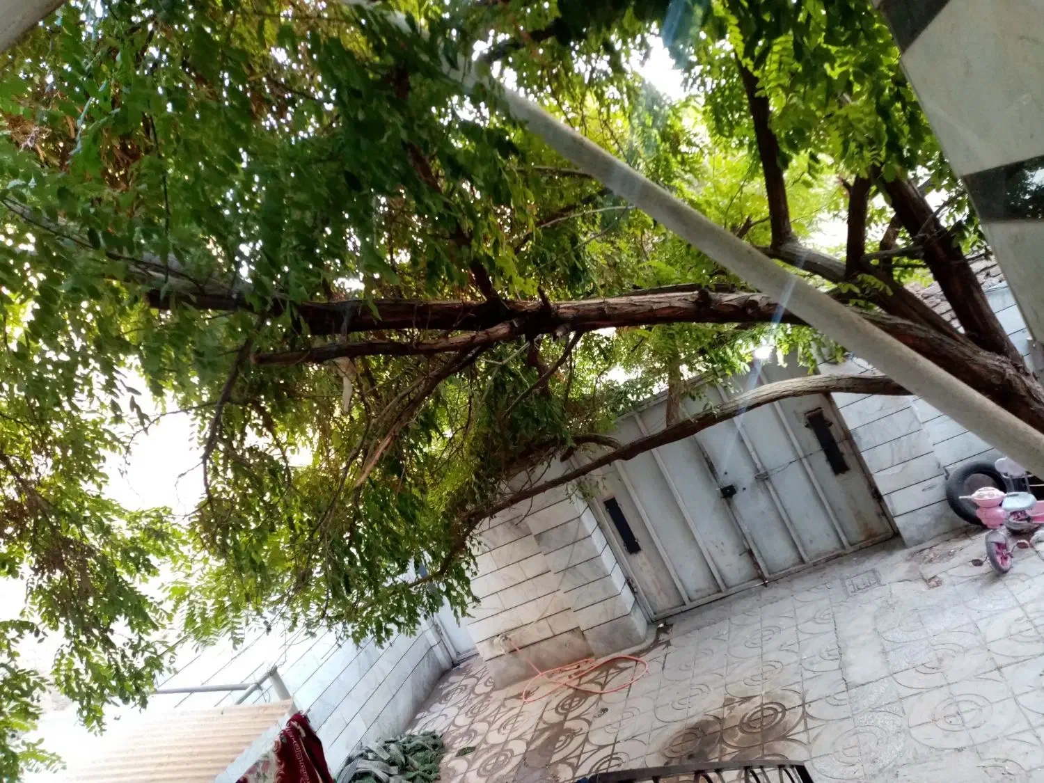 خانه حیاط دار|اجارهٔ خانه و ویلا|محمدشهر, علی آباد گونه|دیوار