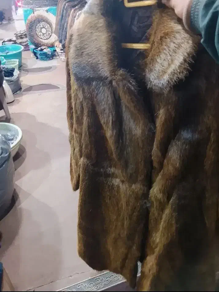 پالتو پوست|لباس|شیراز, صاحب الزمان|دیوار