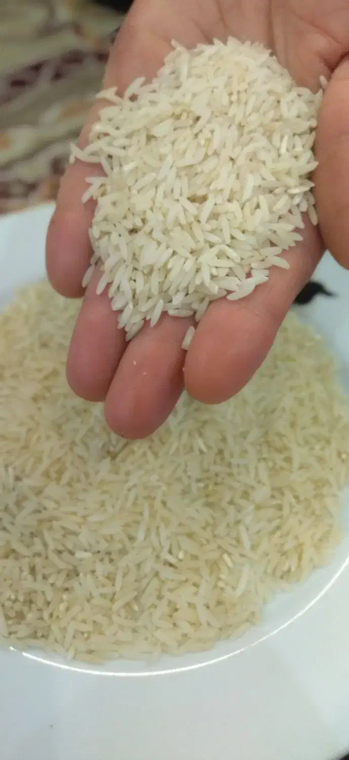 برنج دم سیاه درجه 1|خوردنی و آشامیدنی|آزادشهر, |دیوار