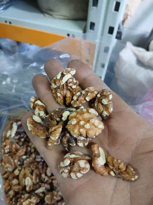 مغز گردو|خوردنی و آشامیدنی|مشهد, چهنو|دیوار