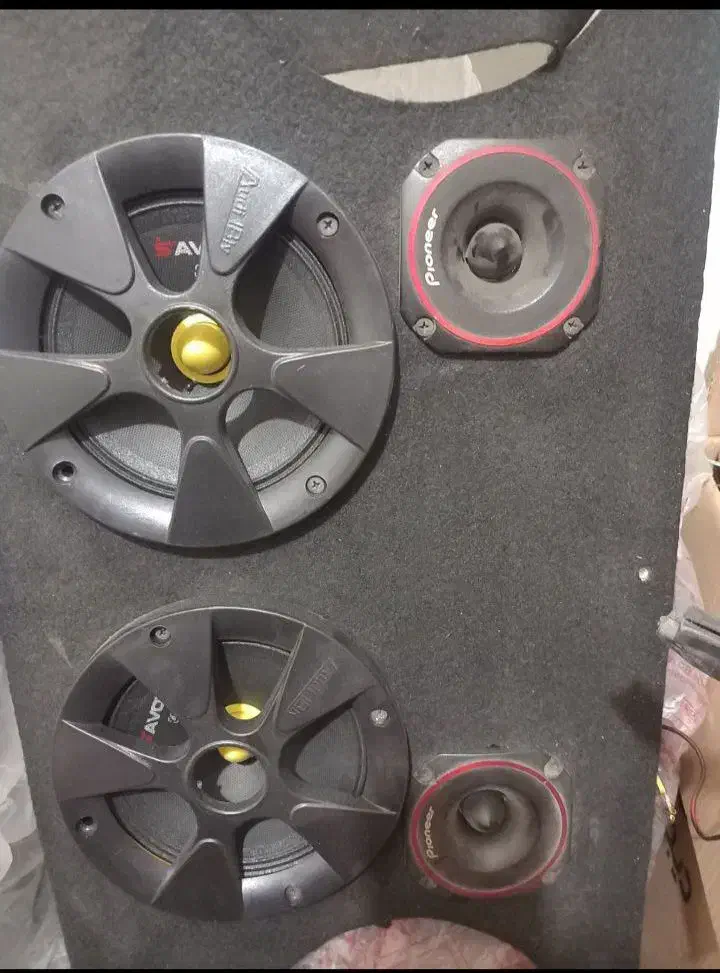 سیستم|صوتی و تصویری|گنبد کاووس, |دیوار