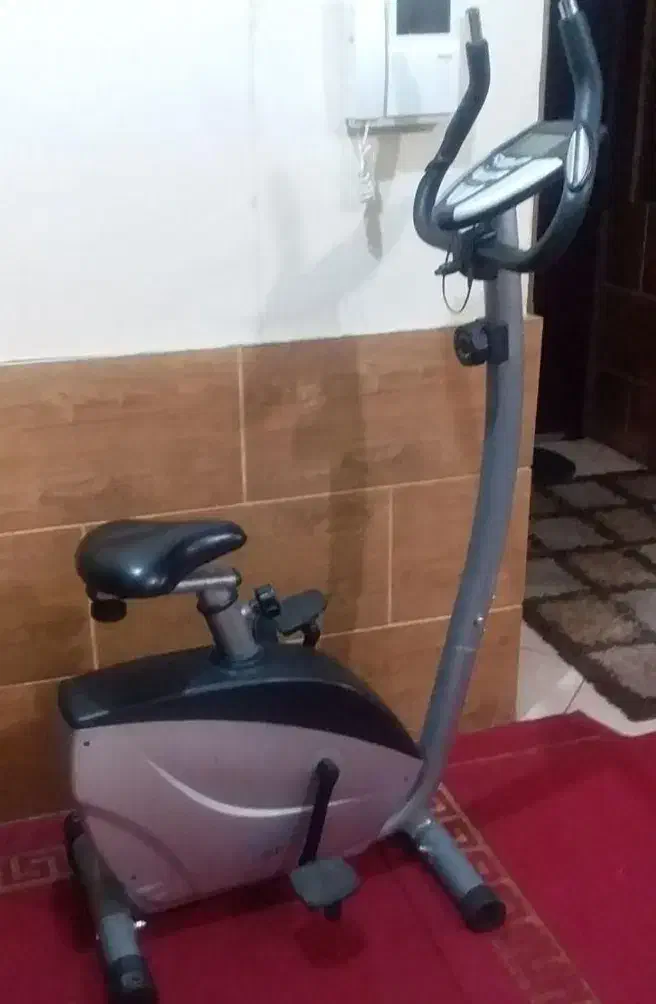 دوچرخه ثابت تاپ اسپرت|تجهیزات ورزشی|لنجان, |دیوار