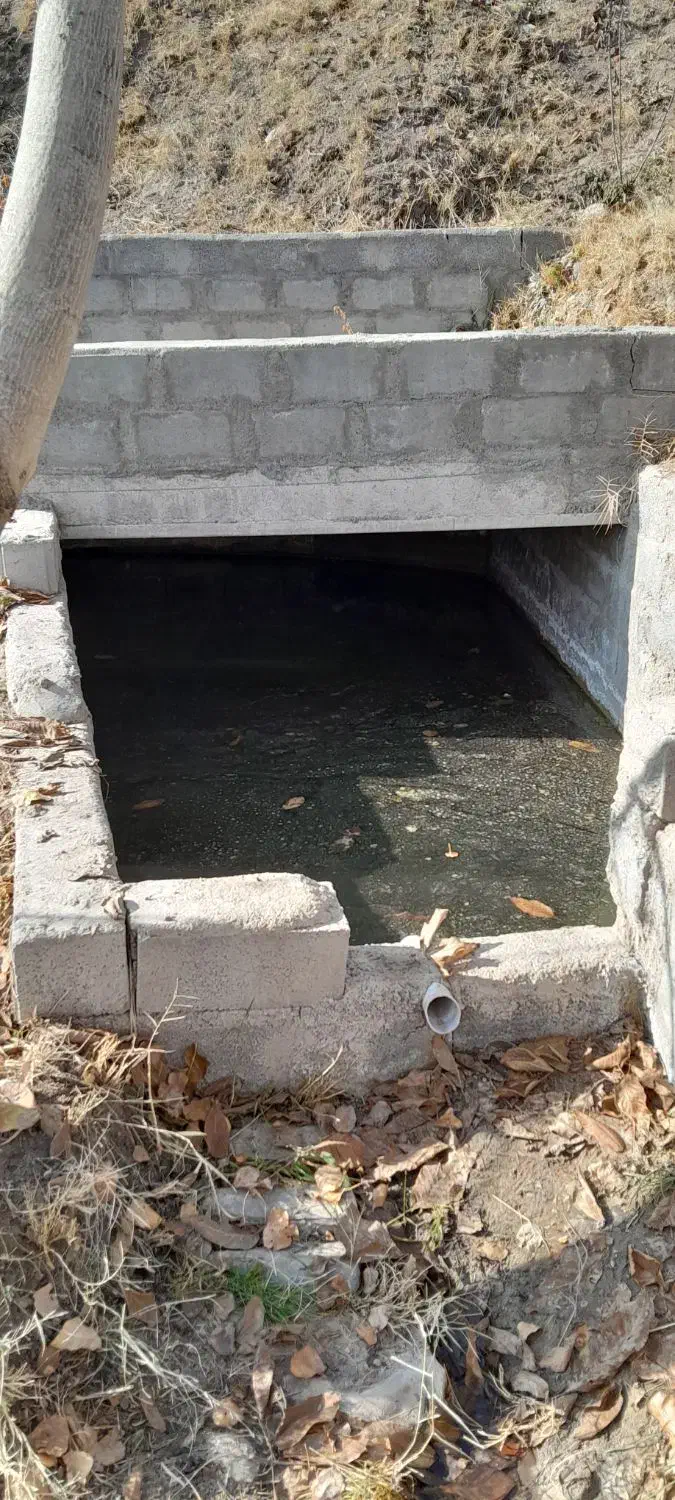 باغ ۸ من صفا باغی|فروش زمین و ملک کلنگی|بناب, |دیوار