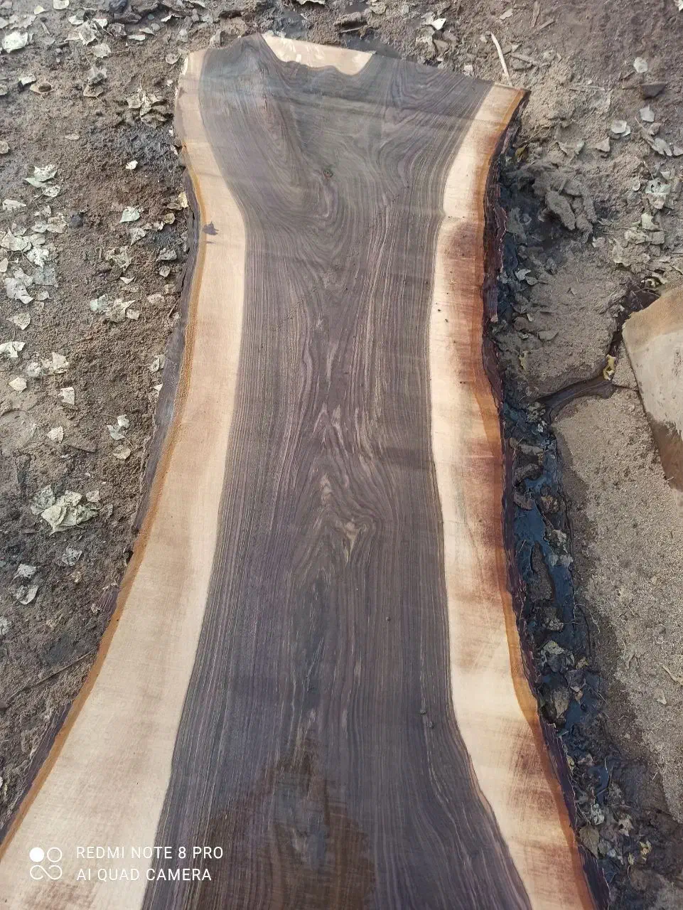 اسلب چوب گردو|خدمات پیشه و مهارت|قروه, |دیوار