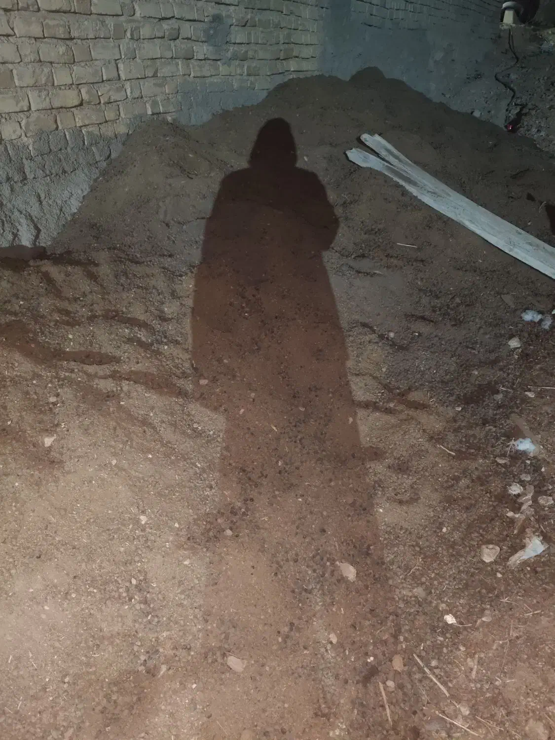 کود حیوانی گوسفند شهرک رکنآباد|گل و گیاه طبیعی|شیراز, رکنآباد|دیوار