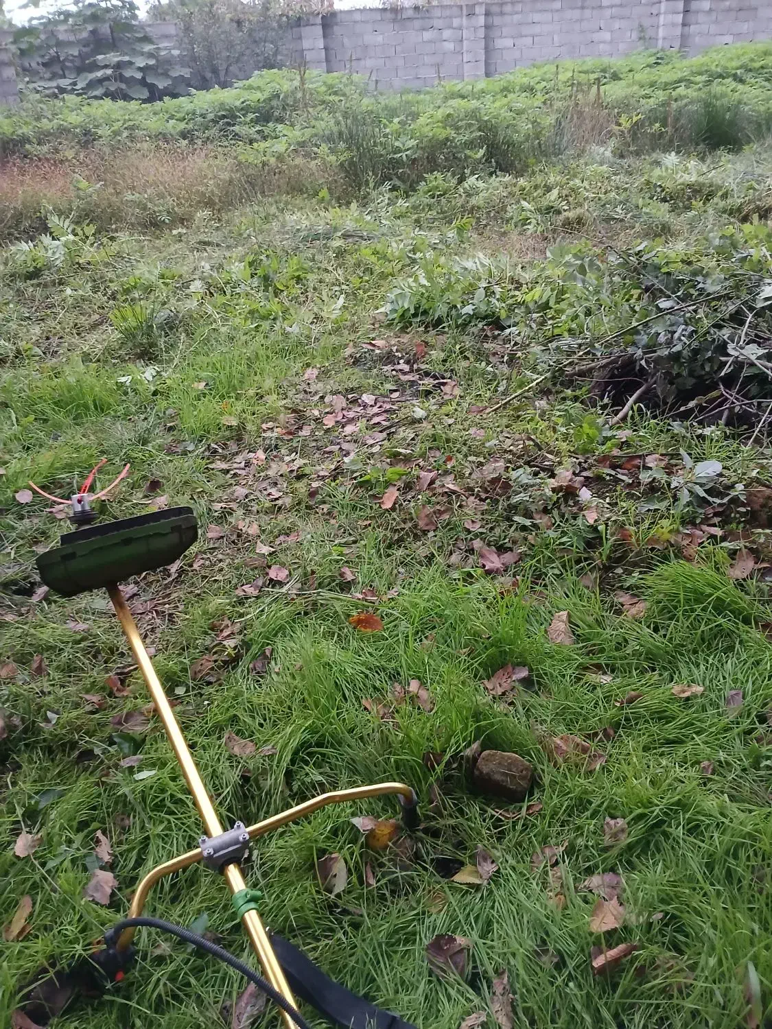 علفتراشی با دستگاه ،هرس، سمپاشی درخت وگل،باغبان،|خدمات باغبانی و درختکاری|سیاهکل, |دیوار