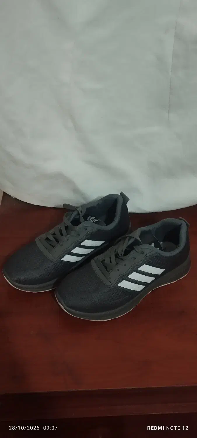 کتونی اسپرت|کیف، کفش، کمربند|تهران, قیام|دیوار