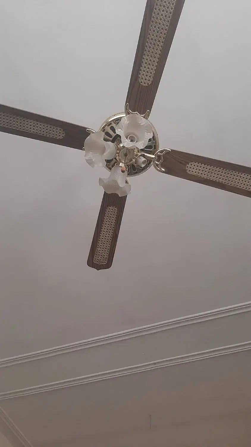 پنکه لوستر|لوستر و چراغ آویز|دزفول, |دیوار