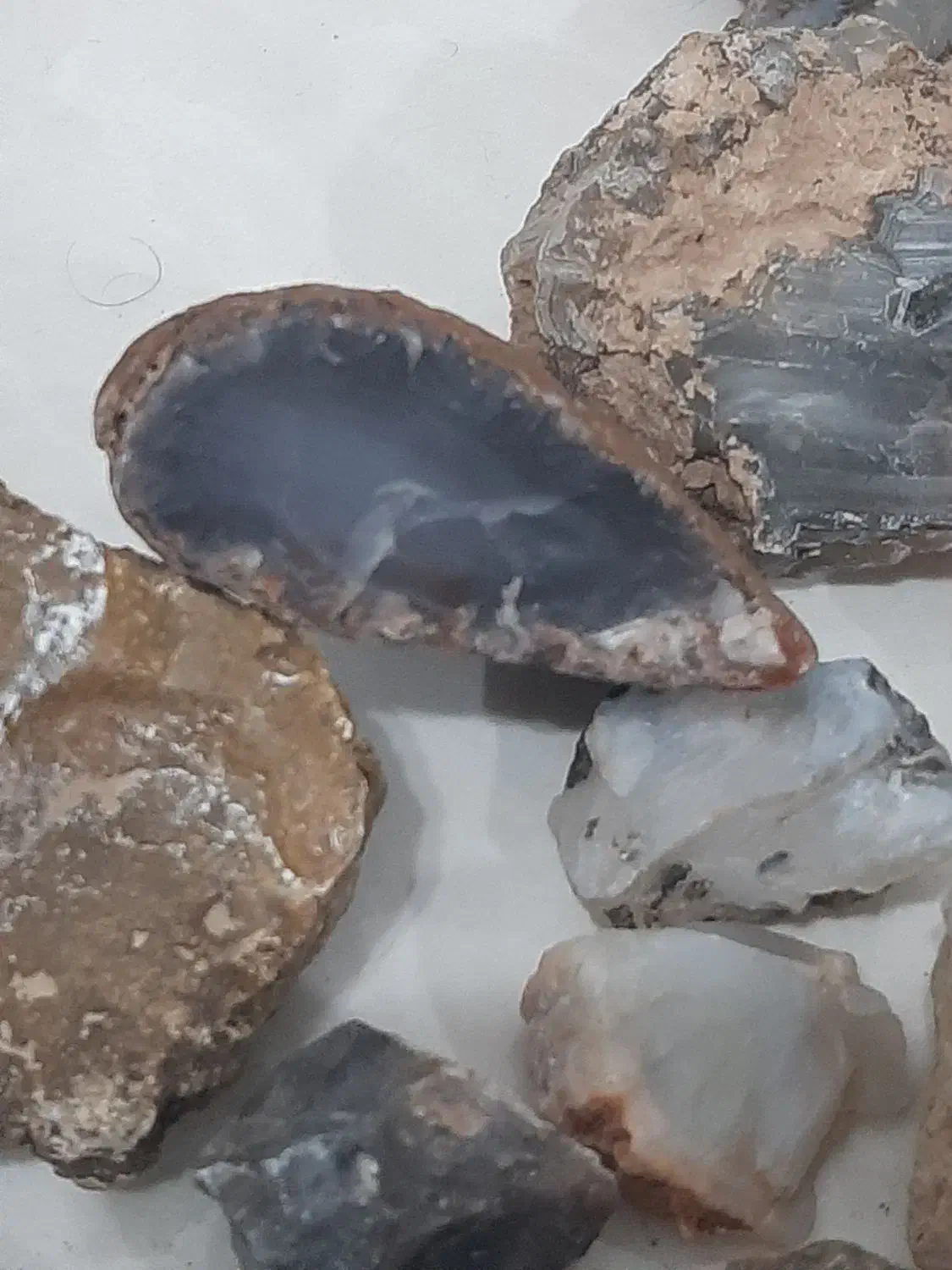 سنگ نگین انگشتر شجر|بدلیجات|خواف, |دیوار