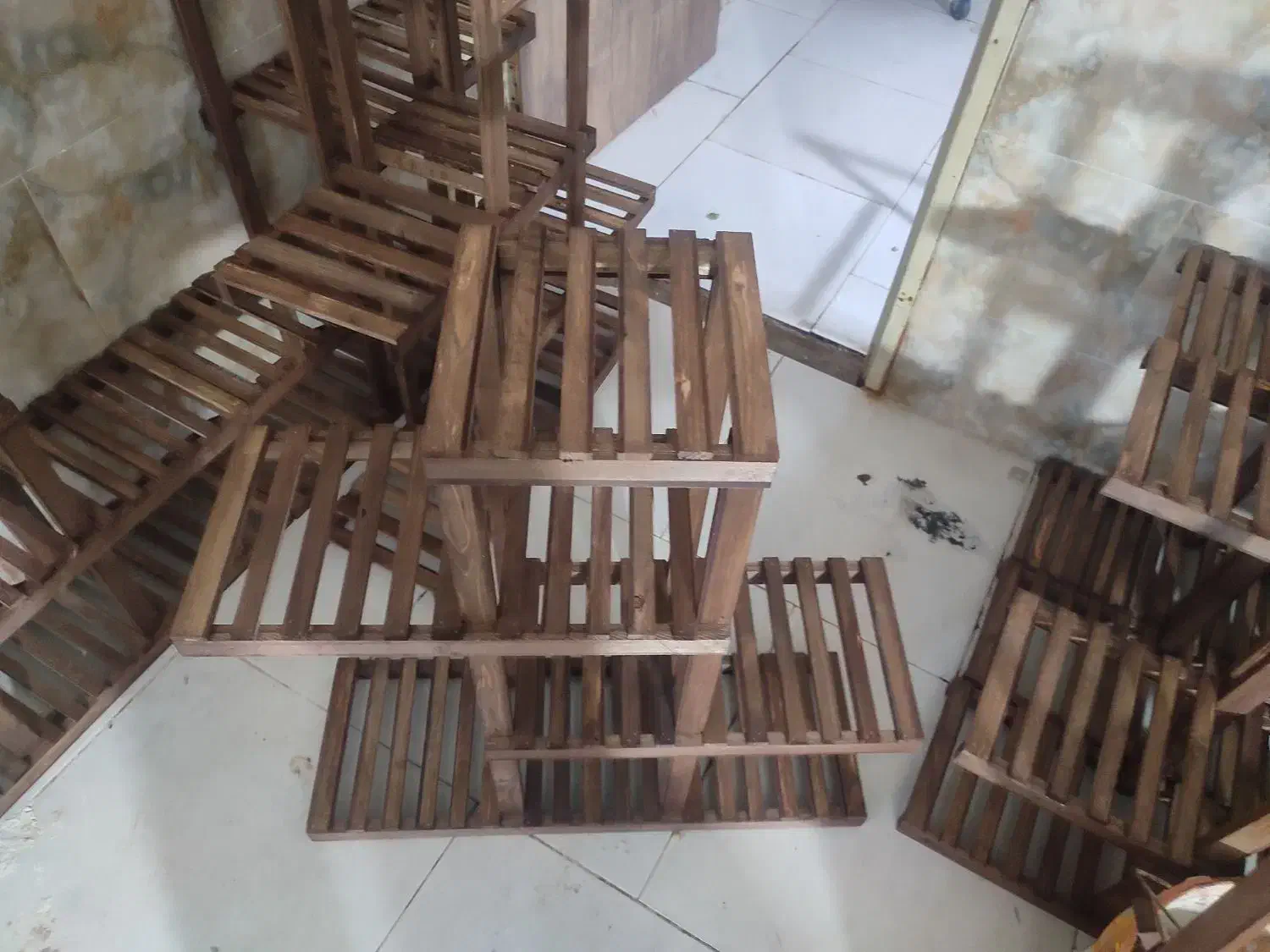 گل و گیاه آپارتمانی|گل و گیاه طبیعی|یزد, |دیوار