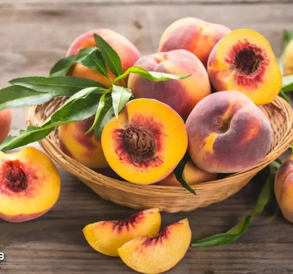 پیش فروش نهال هلو تابع (مازندرانی)|خدمات باغبانی و درختکاری|کوشکنار, |دیوار