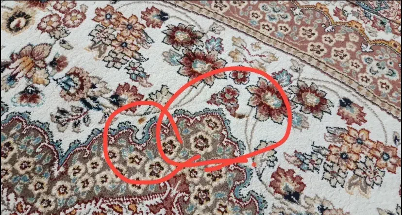 3تا فرش ۲۰میلیون|فرش|اقبالیه, |دیوار