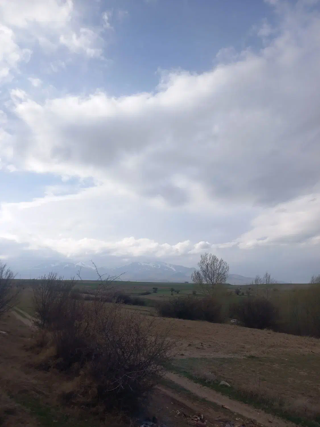 کارگر|خدمات پیشه و مهارت|سرعین, |دیوار