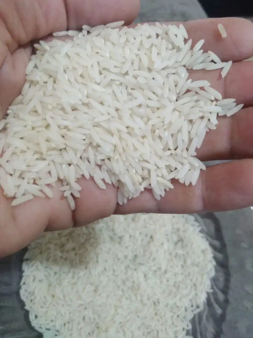 برنج طارم هاشمی معطرفریدونکنار درجه 1|خوردنی و آشامیدنی|بابلسر, |دیوار