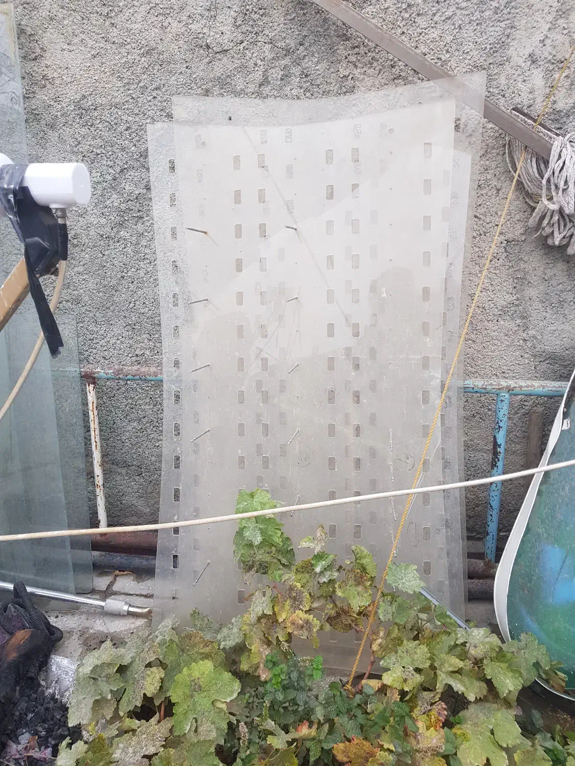 وسایل مغازه فروشی|حراج|کامیاران, |دیوار