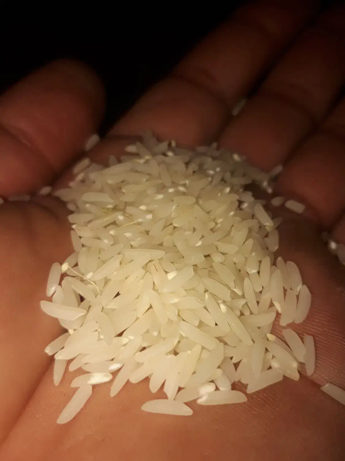 برنج هاشمی دره رود|خوردنی و آشامیدنی|دره رود, |دیوار