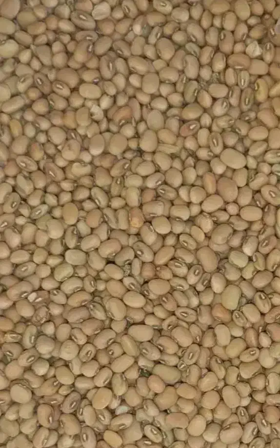 لوبیا|خوردنی و آشامیدنی|رودخانه, |دیوار