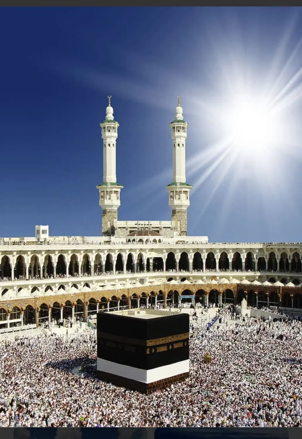 فیش حج تمتع۸۶|تور و چارتر|تهران, تجریش|دیوار