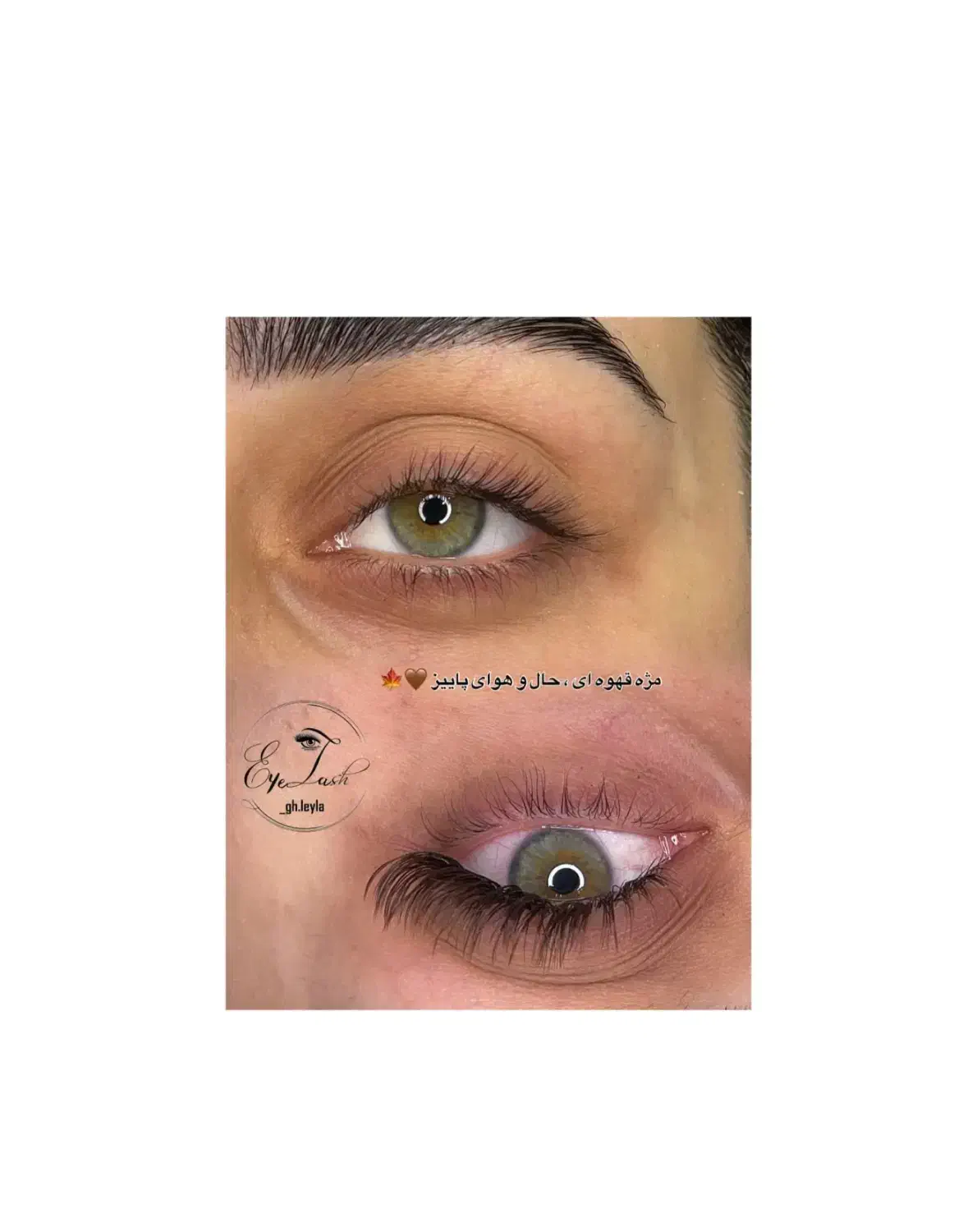 سالن زیبایی آرایشگری|خدمات آرایشگری و زیبایی|میانه, |دیوار